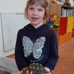 phoca_thumb_m_elva 27 Fotogalerie